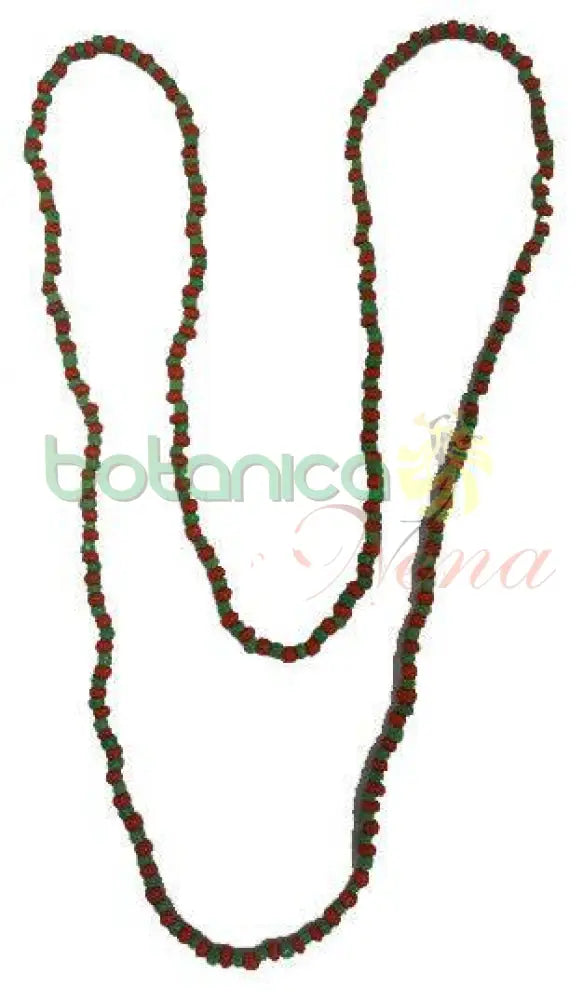 Collar Orula (Africano) regular - Botanica Nena