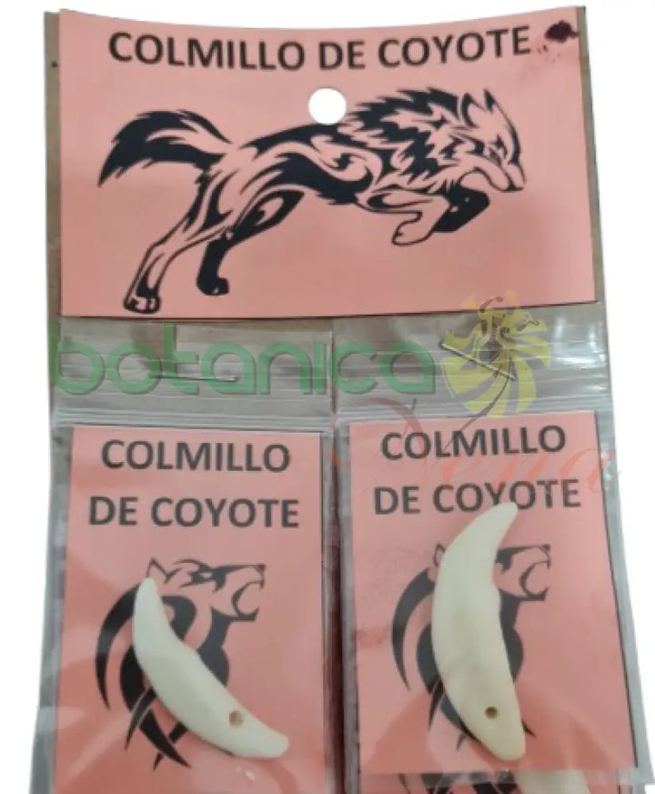 Colmillo de Coyote 1" - Botanica Nena