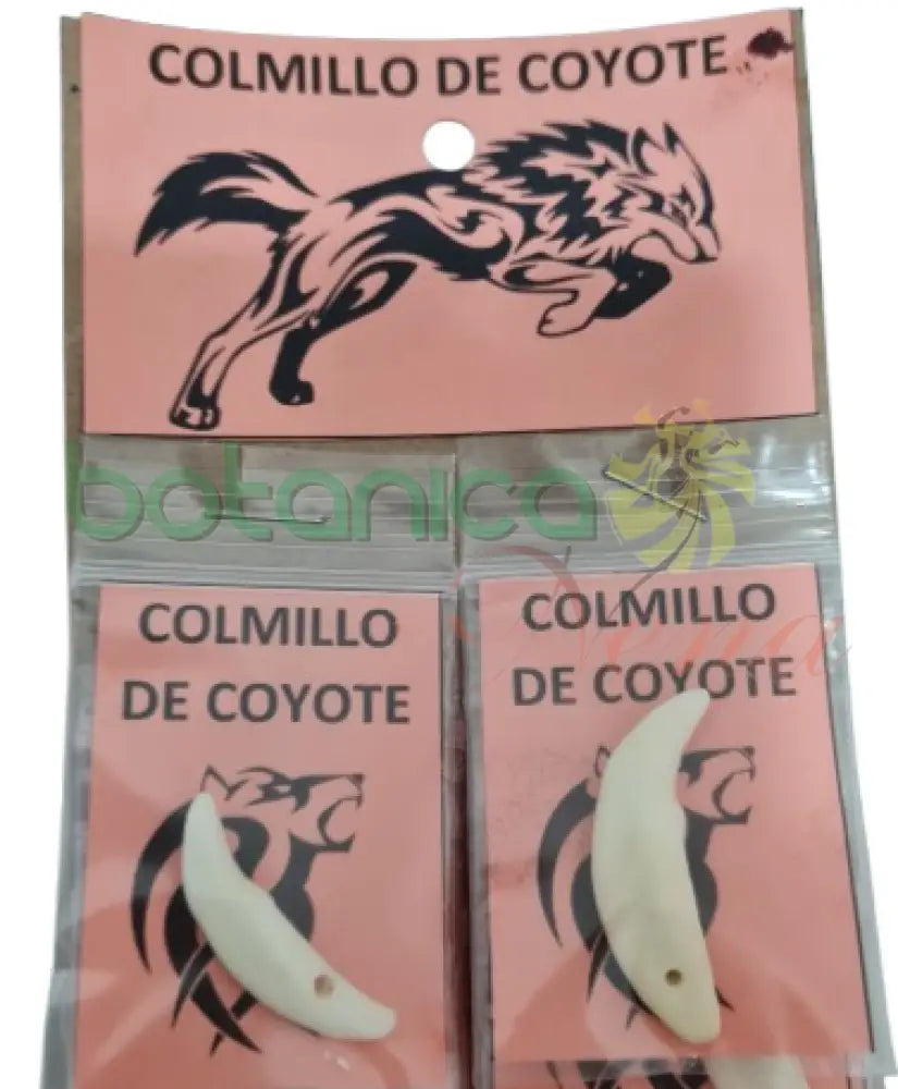 Colmillo de Coyote 1" - Botanica Nena