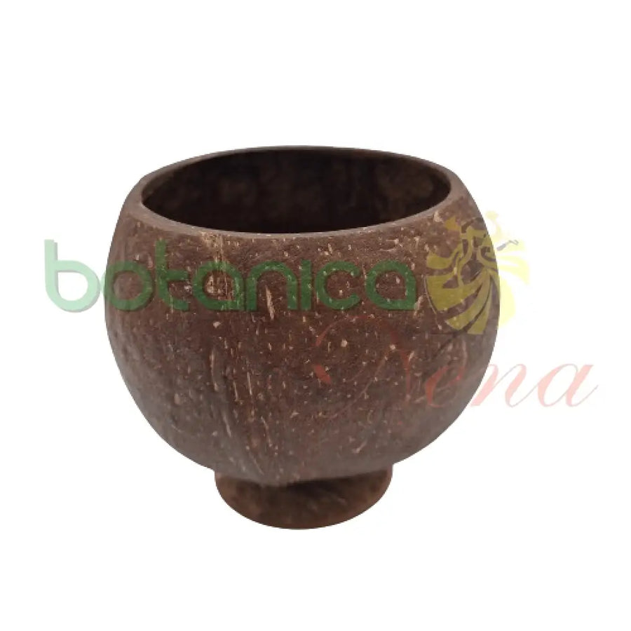 Copa De Coco 4"X4" - Botanica Nena