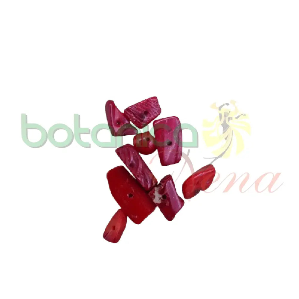 Coral Rojo - Botanica Nena