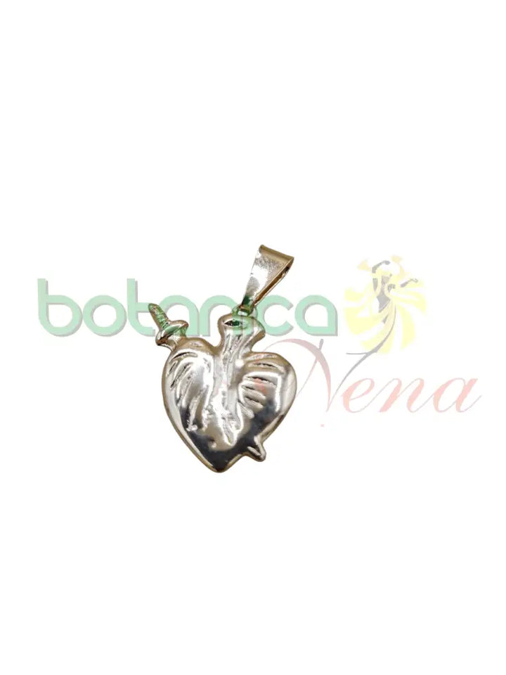 Corazon con Flecha baño de Plata y Oro 0.5"H - Botanica Nena