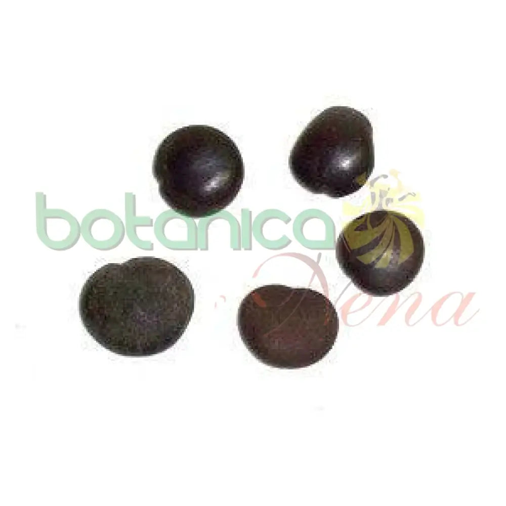 Semilla de Mar. Cayajabo o Corazon de Chango - Botanica Nena