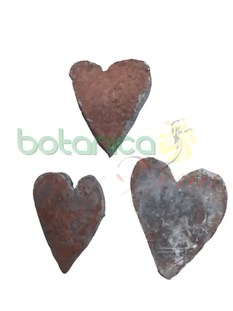 Corazón De Hierro - Botanica Nena