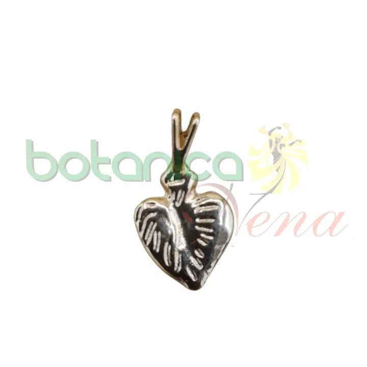 Corazon pequeño Baño de Oro y de Plata 0.5"H - Botanica Nena