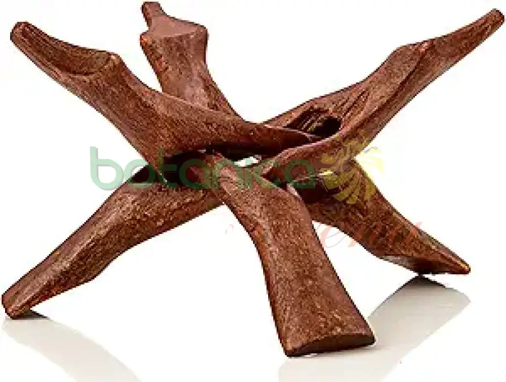 de madera Stand (Base jicara en madera) 6’’