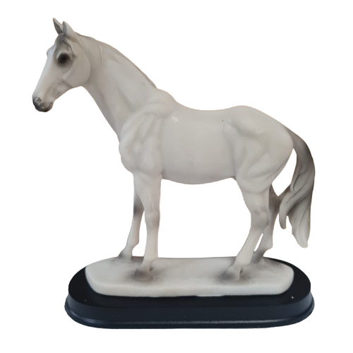 White horse Caballo Blanco