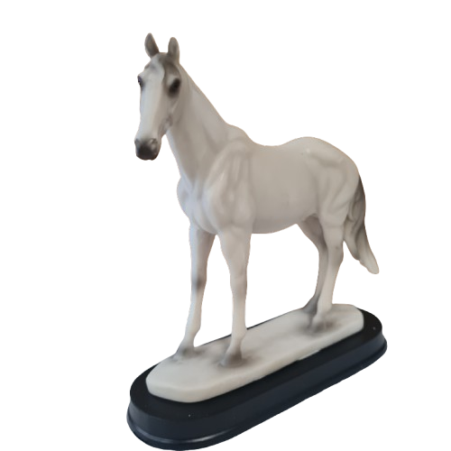 White horse Caballo Blanco