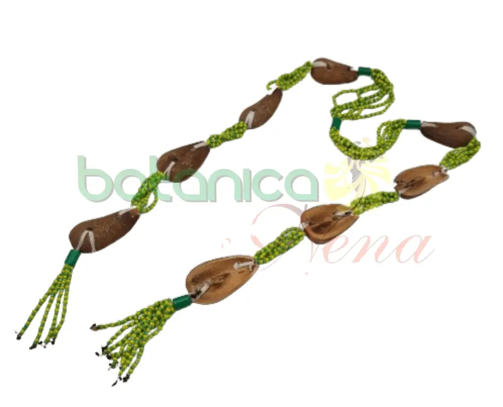 Ekuele de Opele de Orula - Botanica Nena