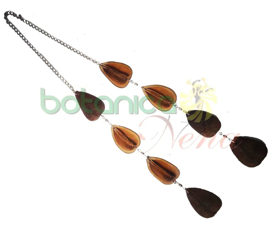 Ekuele de Semillas de Opele - Botanica Nena