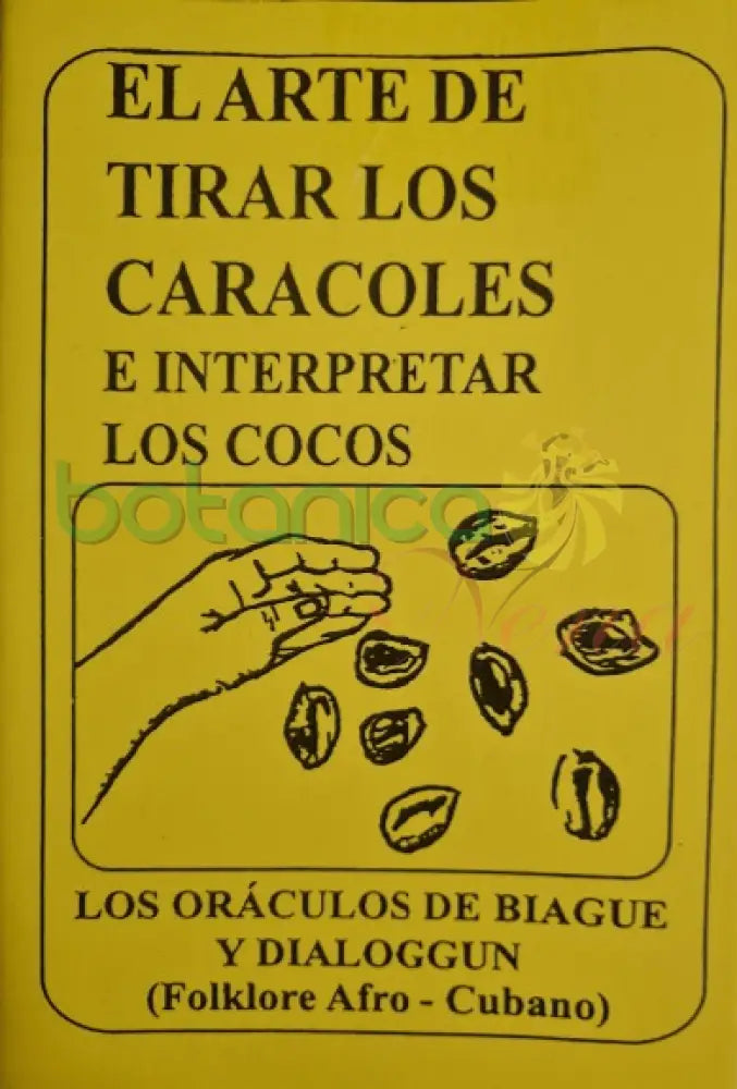 El arte de tirar los Caracoles e interpretar los Cocos - Botanica Nena