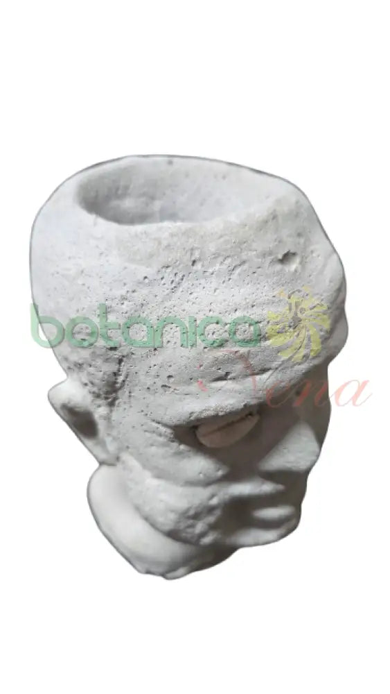 Elegua Cemento 1 Cabeza