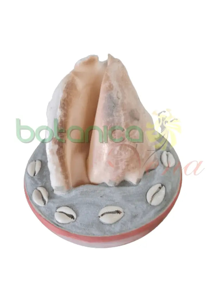 ELEGUA DE AYE - Botanica Nena