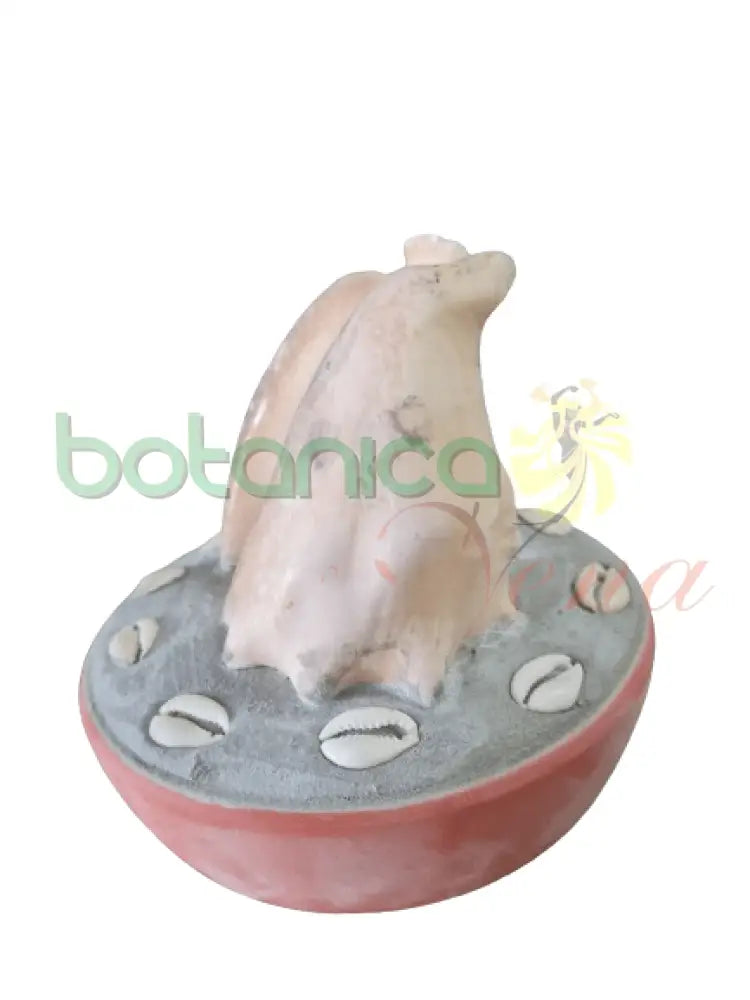 ELEGUA DE AYE - Botanica Nena