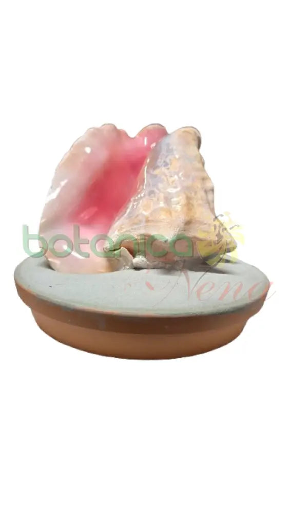 Elegua de Aye en Caracol Cobo Plato de Barro plain