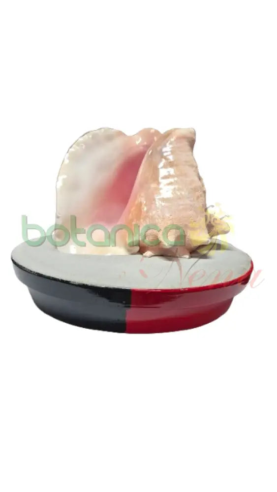 Elegua de Aye en Caracol Cobo Plato pintado rojo y negro