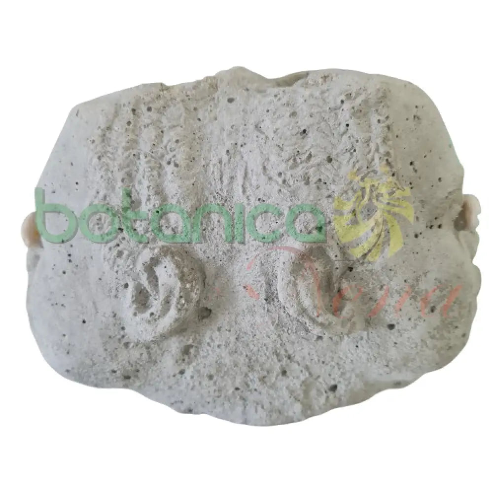 Elegua Dos Cabezas Cemento 4’’Alto