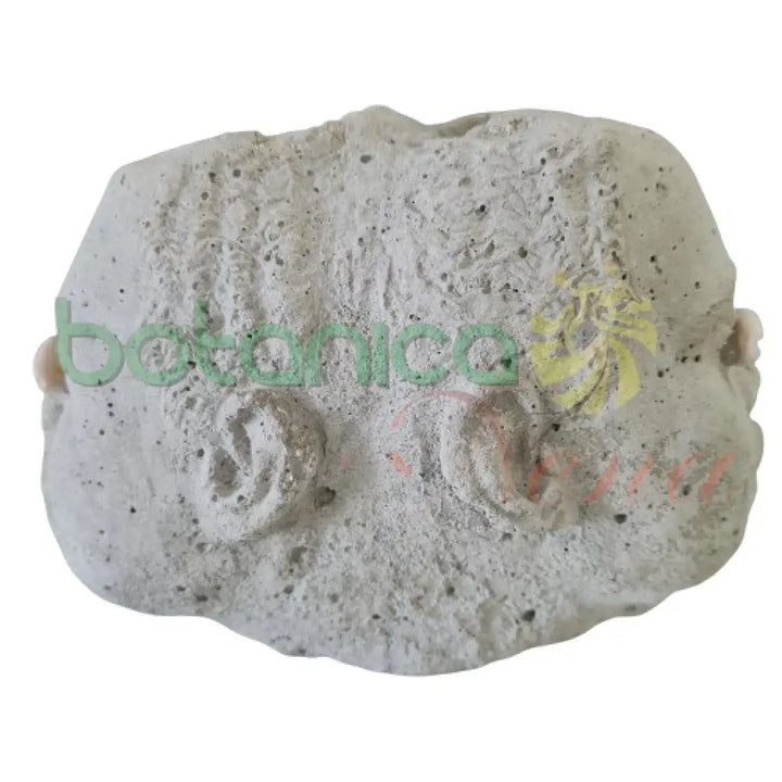 Elegua Dos Cabezas Cemento 4’’Alto