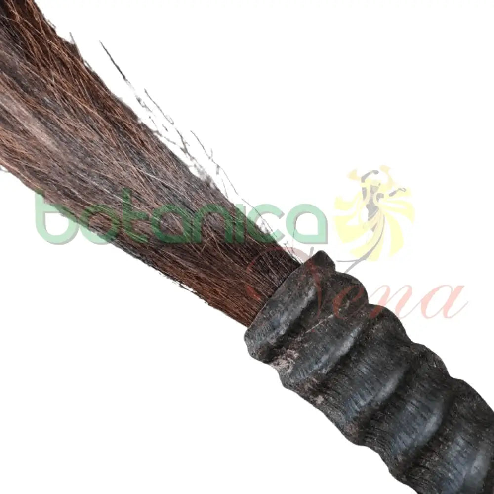 Eruke o Cola de Caballo Natural negra con mango Aprox 54" Largo - Botanica Nena
