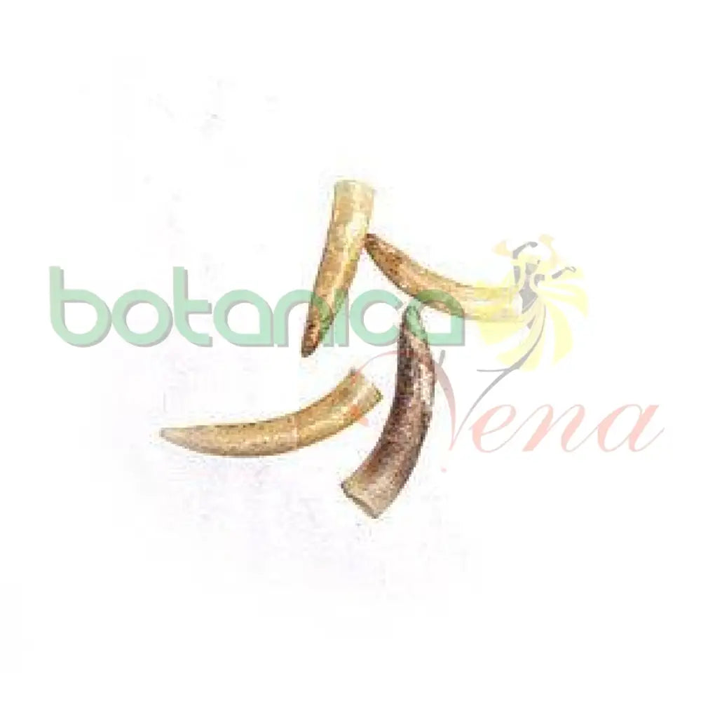 Espuela de Gallo - Real - Botanica Nena