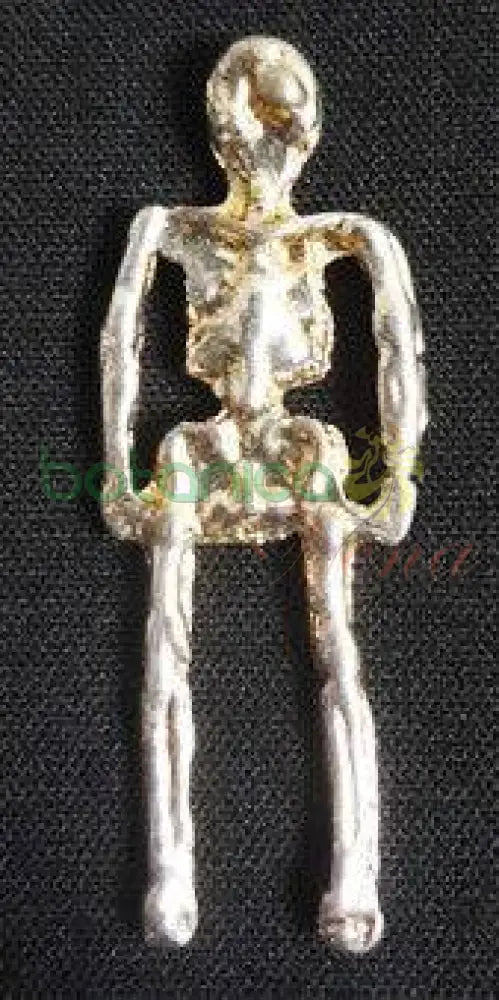 Esqueleto  Baño de Plata - Botanica Nena