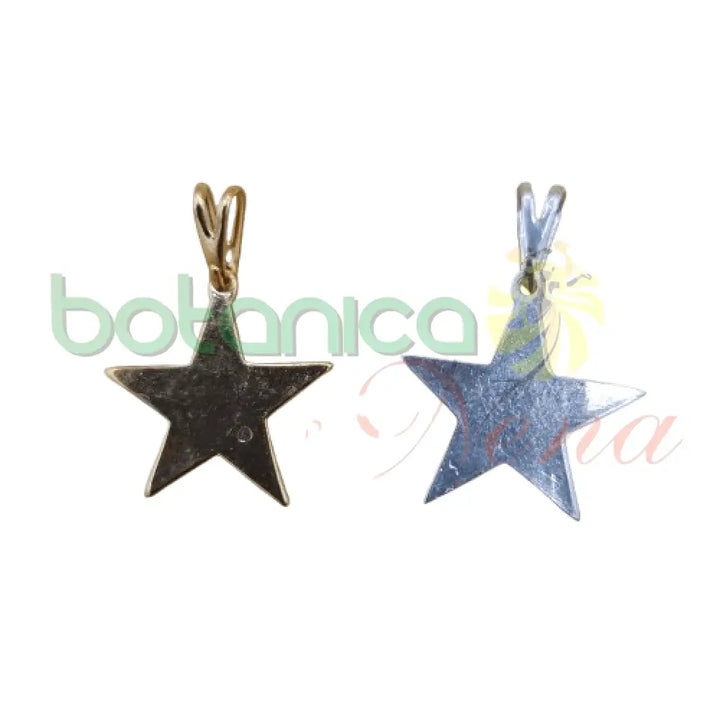 Estrella 1"H Baño de Plata y Oro - Botanica Nena