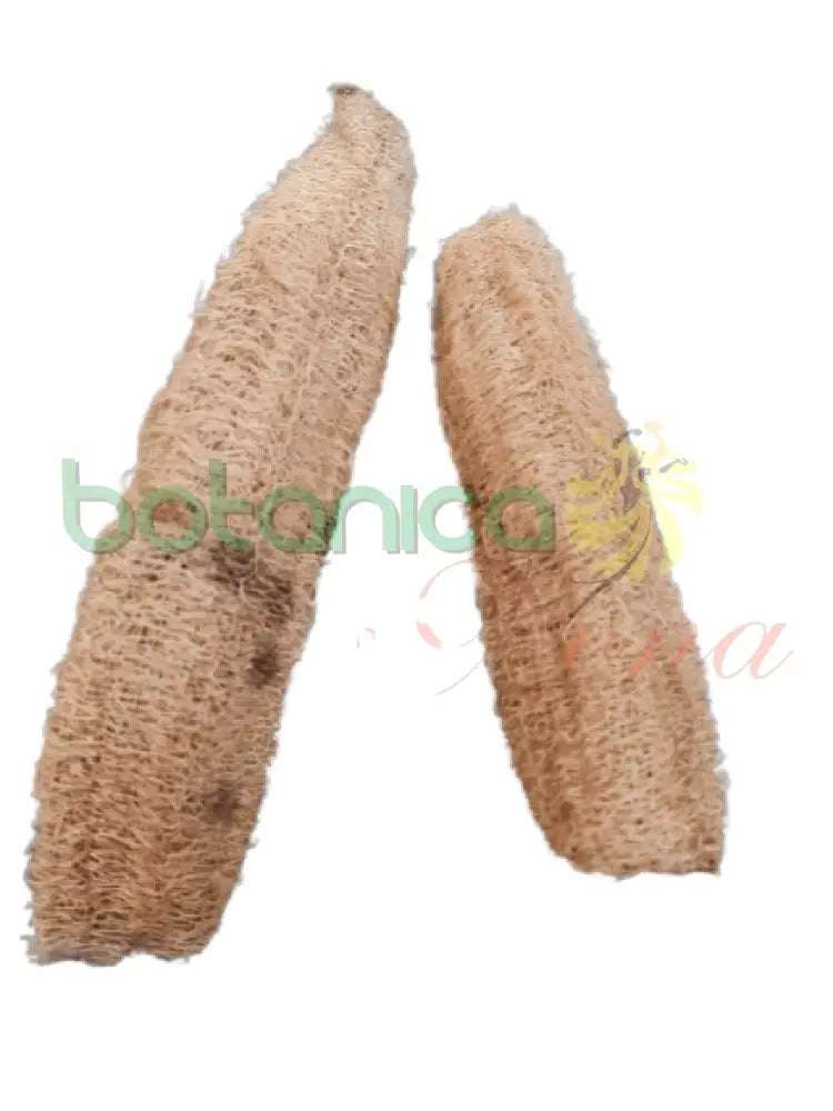 Estropajo 2 tamaños - Botanica Nena