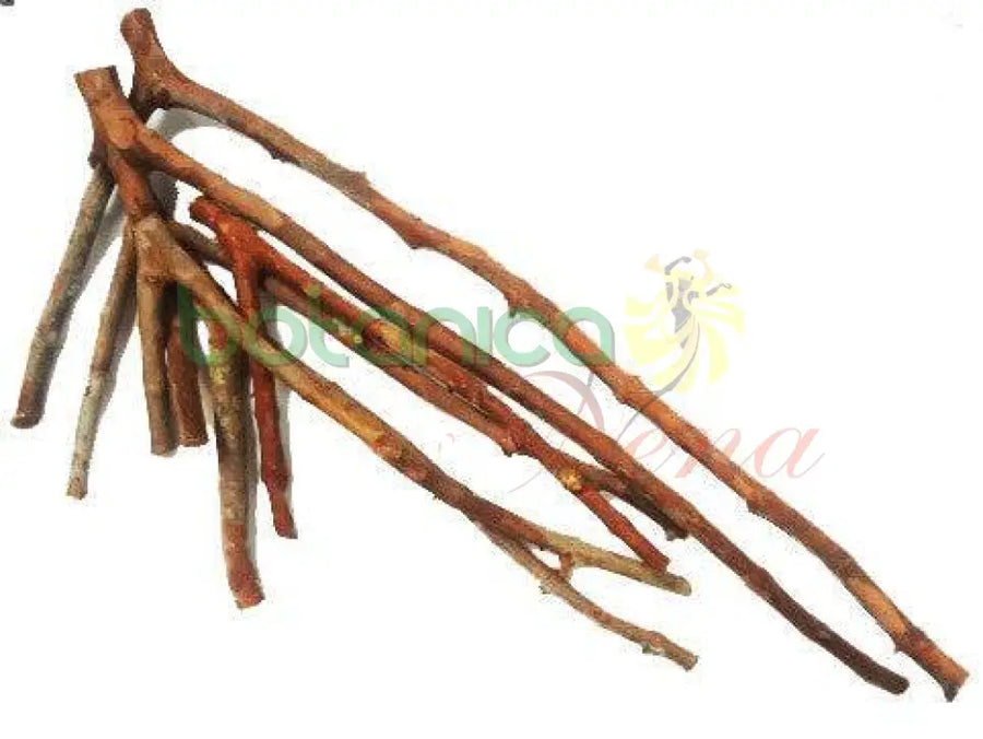 Garabato Guayaba Mediano Aprx. 15" -20"Largo - Botanica Nena