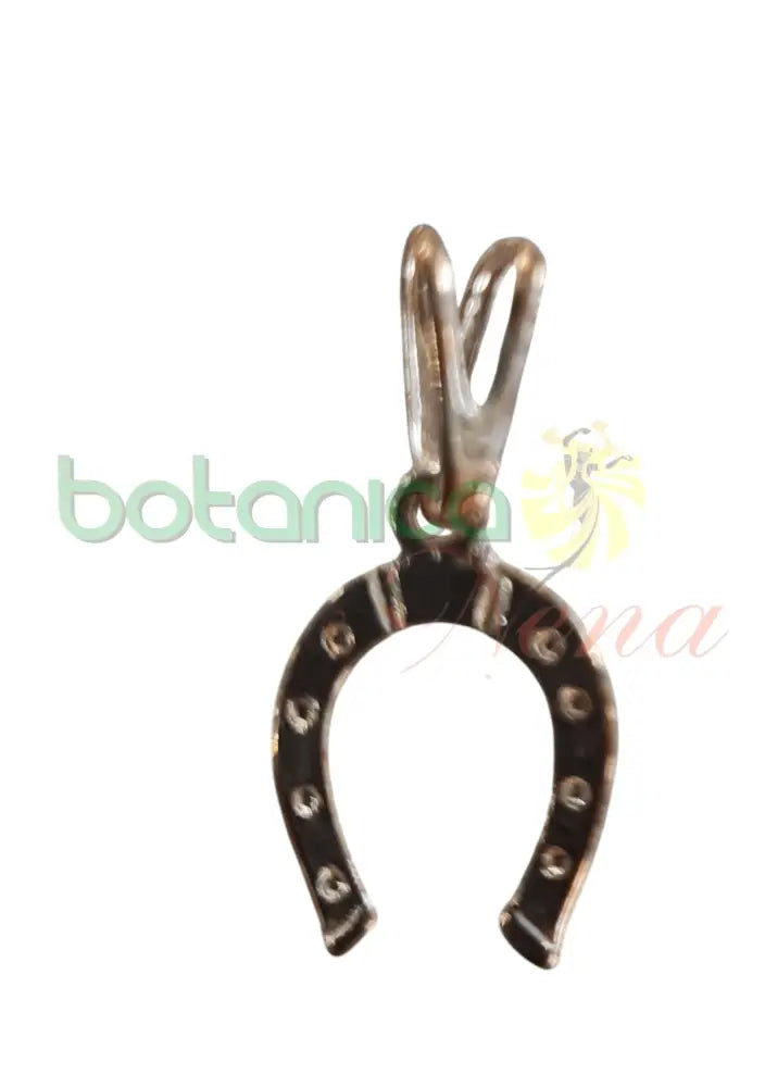 Herradura Baño de Oro y Plata - Botanica Nena