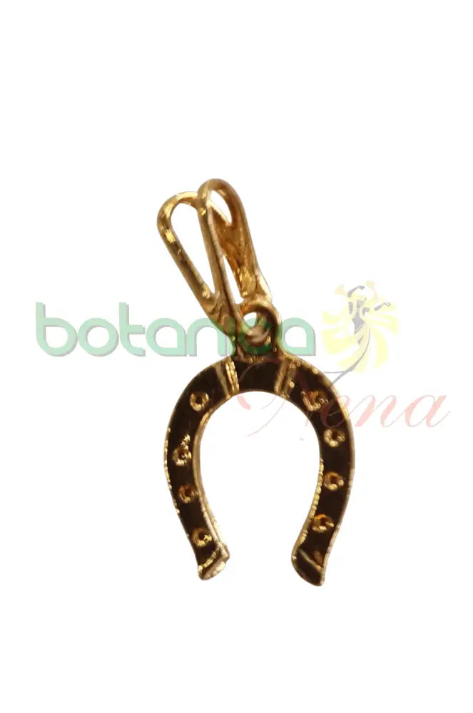 Herradura Baño de Oro y Plata - Botanica Nena