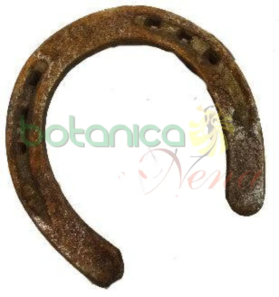 Herradura Usada Hierro Original - Botanica Nena