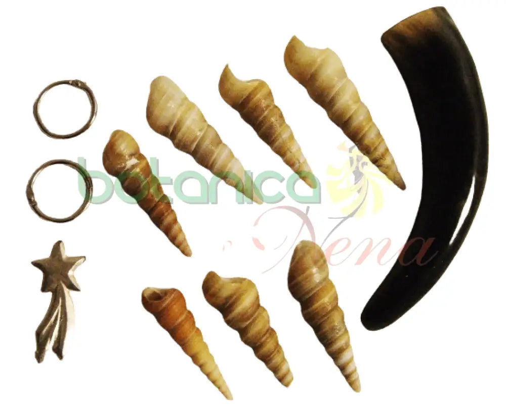 Heramientas de Korinkoto - 11 piezas - Botanica Nena