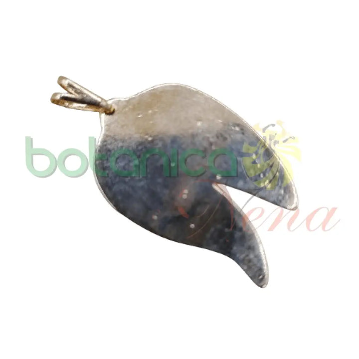 Higado Baño de oro y Plata 1.4"H - Botanica Nena