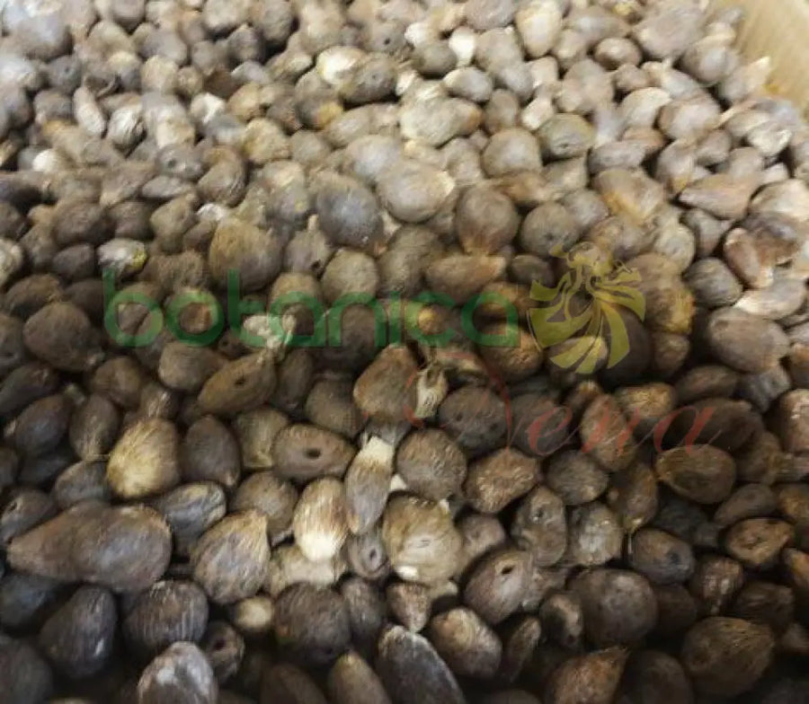 Ikines - Inkines Ofo - Botanica Nena