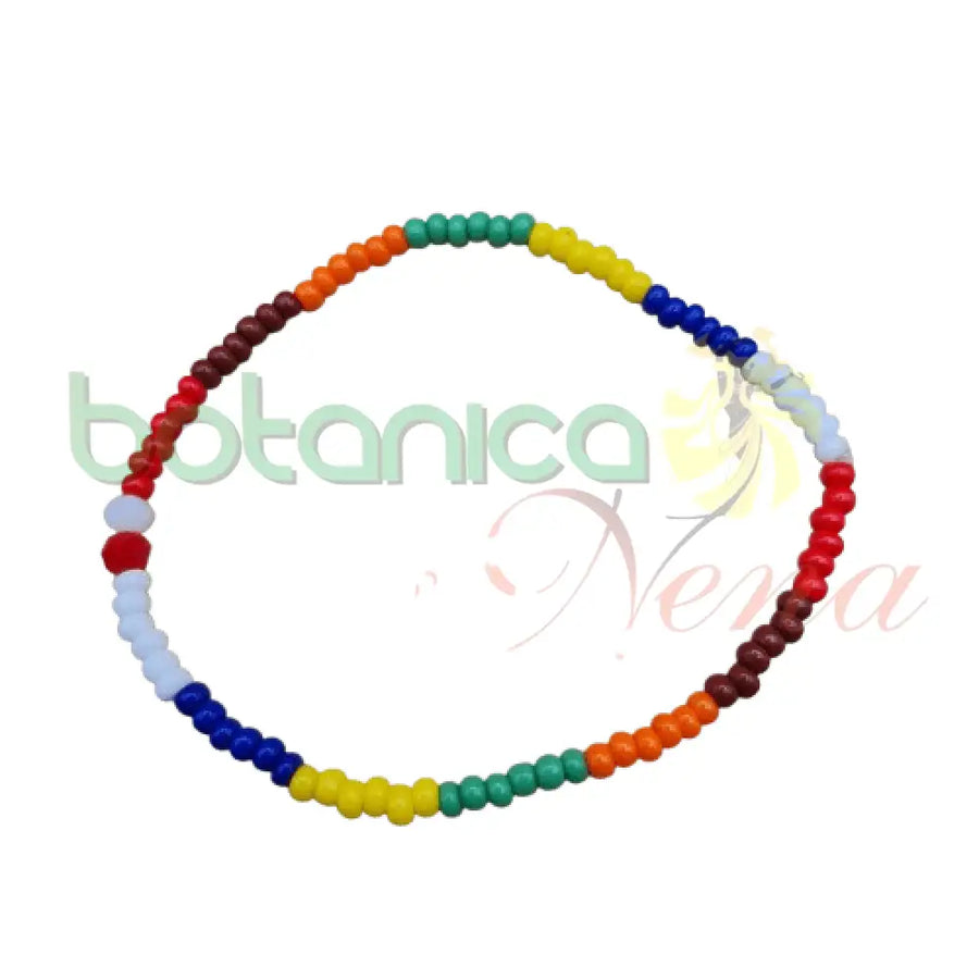 Ilde 7 Potencias elastico - Botanica Nena