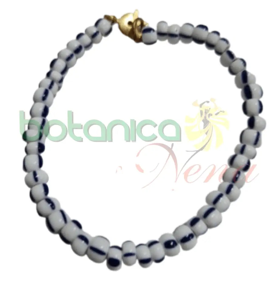 Ilde San Lazaro de cierre - Botanica Nena