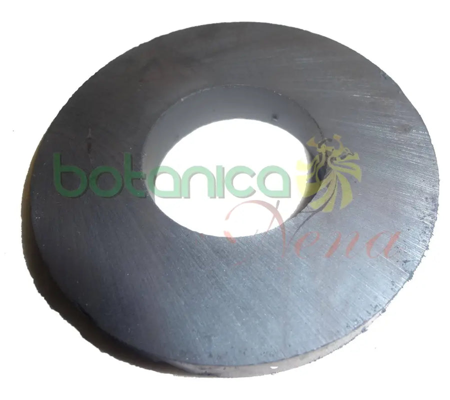 Iman Hembra Grande 3. 3-4" - Botanica Nena