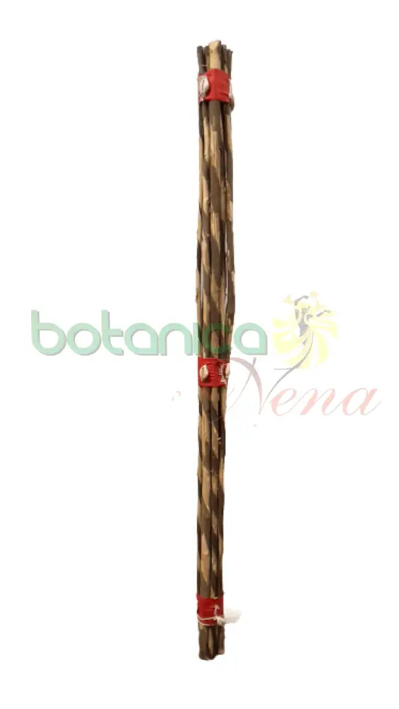 Isan Egungun / Egbe Dos Tamaños - Botanica Nena