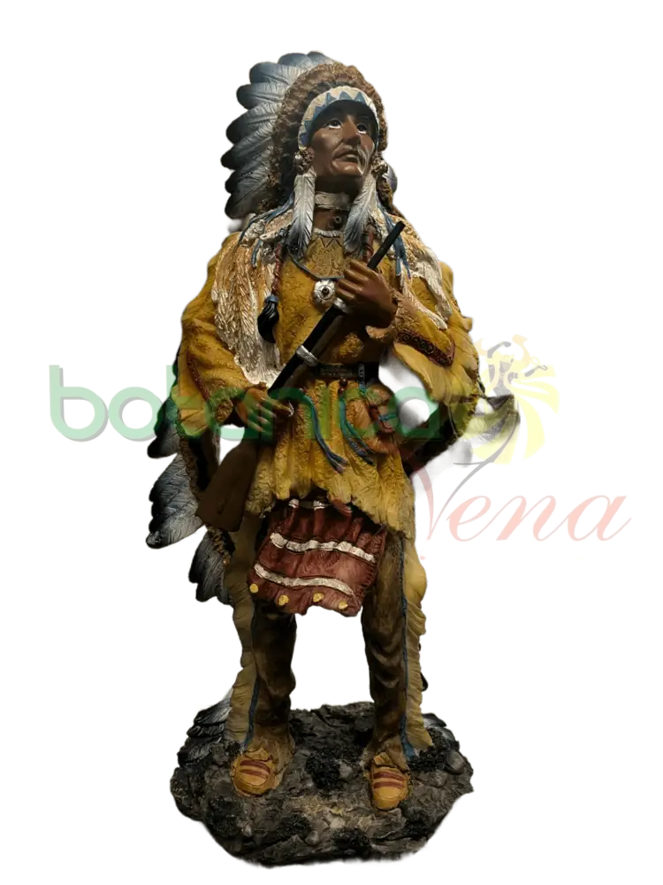 Jefe Indio Con Rifle 14" - Botanica Nena