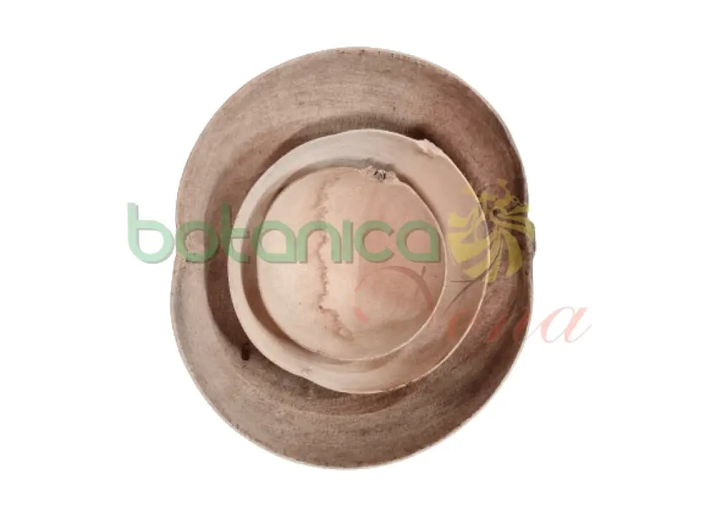 Jicaras De Guira De 3 Tamaños - Botanica Nena