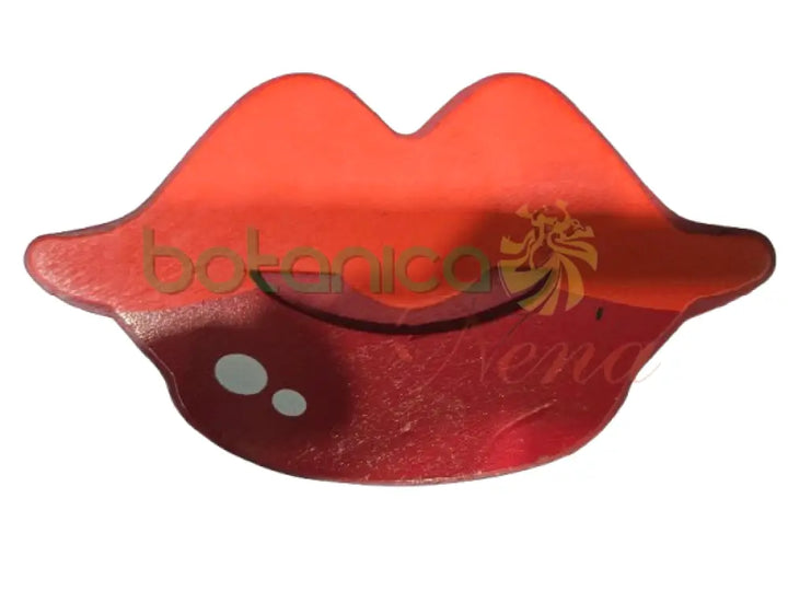 Juguetes en madera planos 5’’ labios