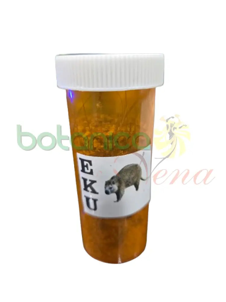 Jutia Ahumada Molida(Agouti) EKU) Nigeriana