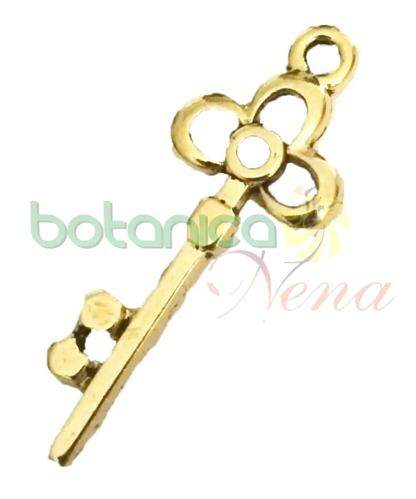 Llave metal Destino 1.26 pulgadas Largo (Una Pieza) - Botanica Nena