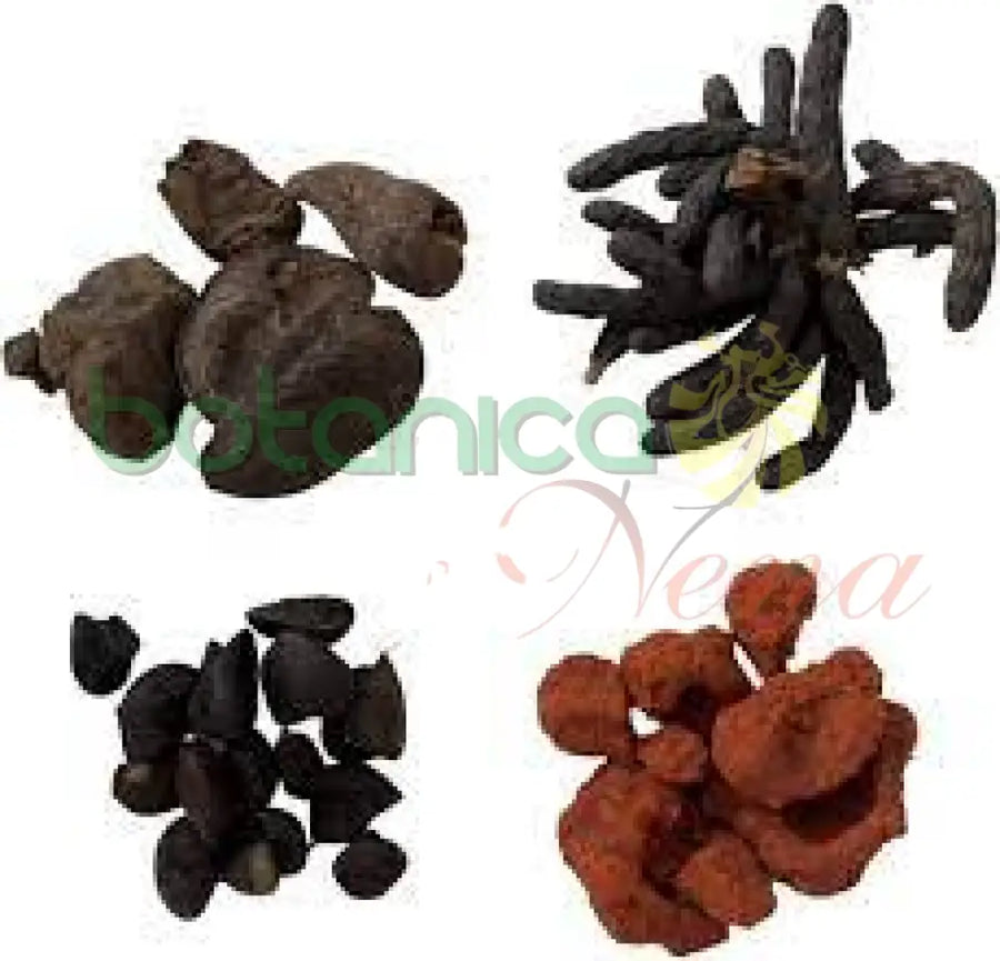 Los 4 Ashe De Santo - Botanica Nena