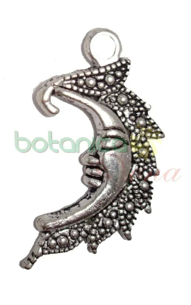 Luna de metal - Botanica Nena