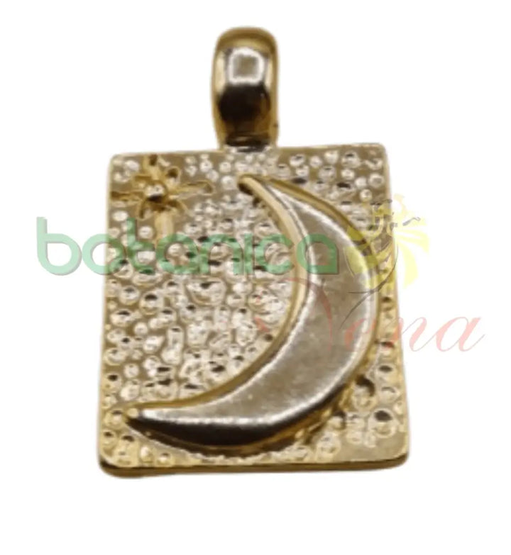 Luna de metal - Botanica Nena