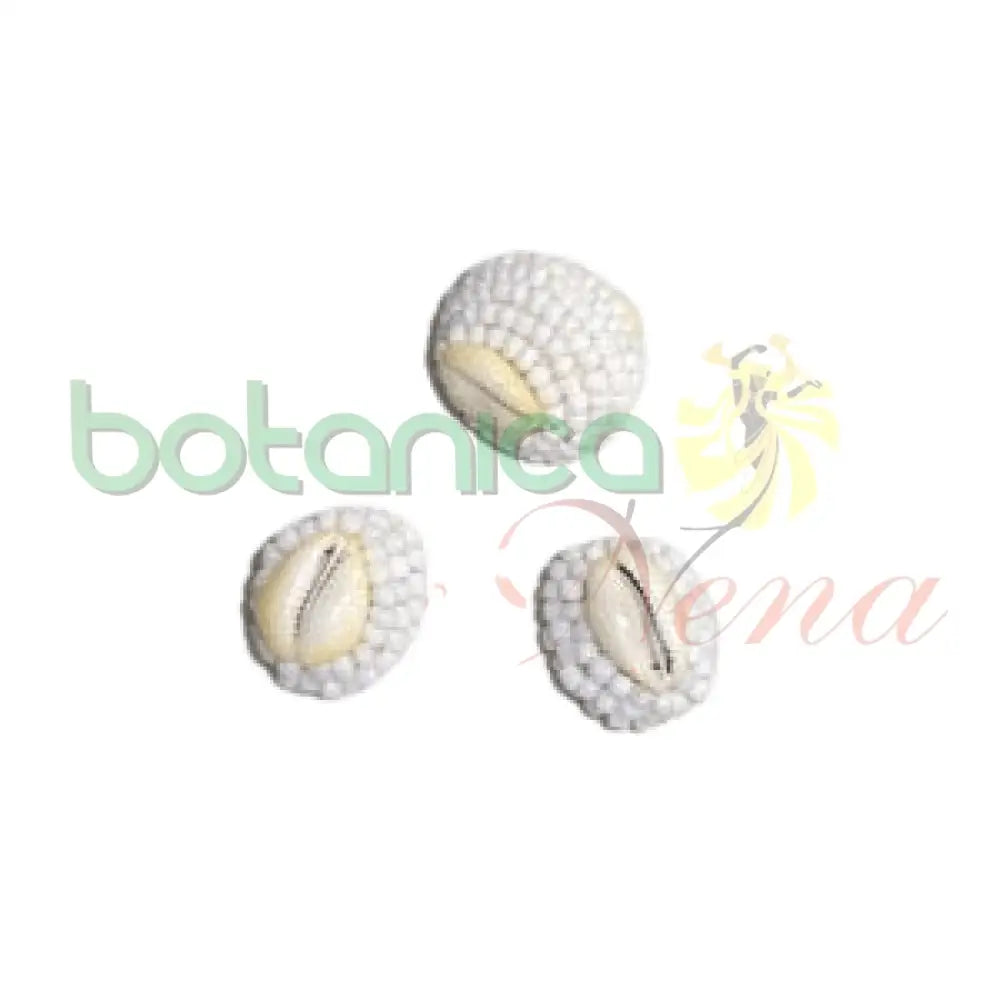 Macuto Obbatala - Botanica Nena