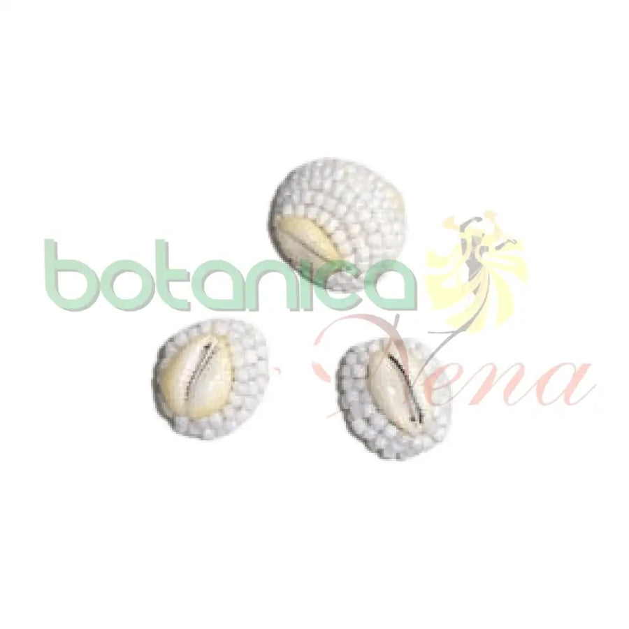 Macuto Obbatala - Botanica Nena