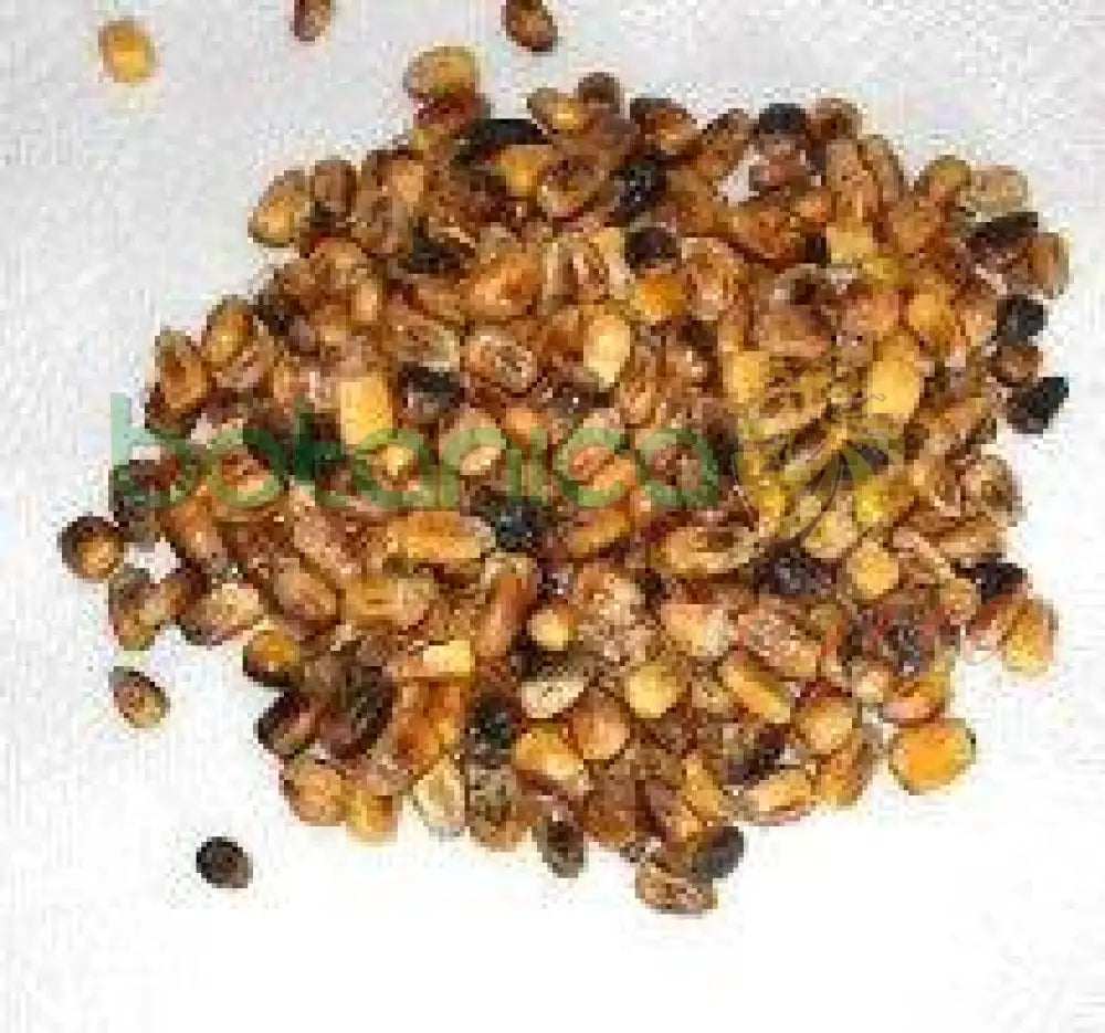 Maiz tostado (AWADO) - Botanica Nena