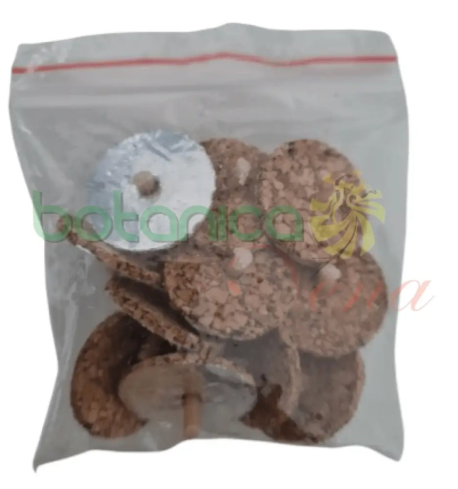 Mechas - Portacerillas para lampara de aceite - Botanica Nena